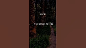 ارح قلبك قليلا 😴القران الكريم