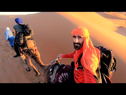 Vídeo: Ponte Alto Antes De Montar En Camello Por El Desierto De Thar