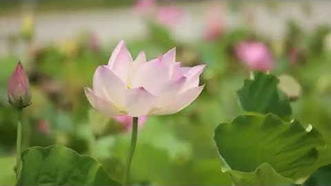 What advice would you give to a younger INTJ as an older  INTJ?