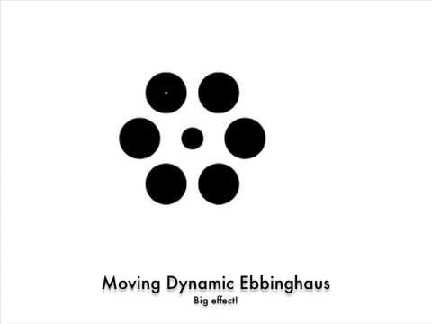 The Dynamic Ebbinghaus