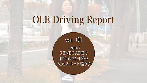 オーレweb Youtube