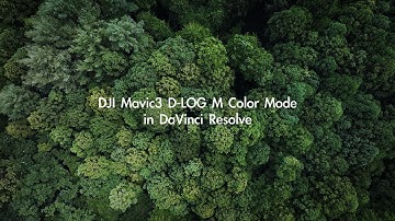DJI Mavic3 D-LOG M Color Mode in DaVinci Resolve | 4K Aerial Drone Video