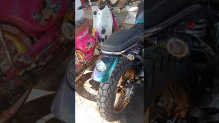 Japsyle Scamber 2021