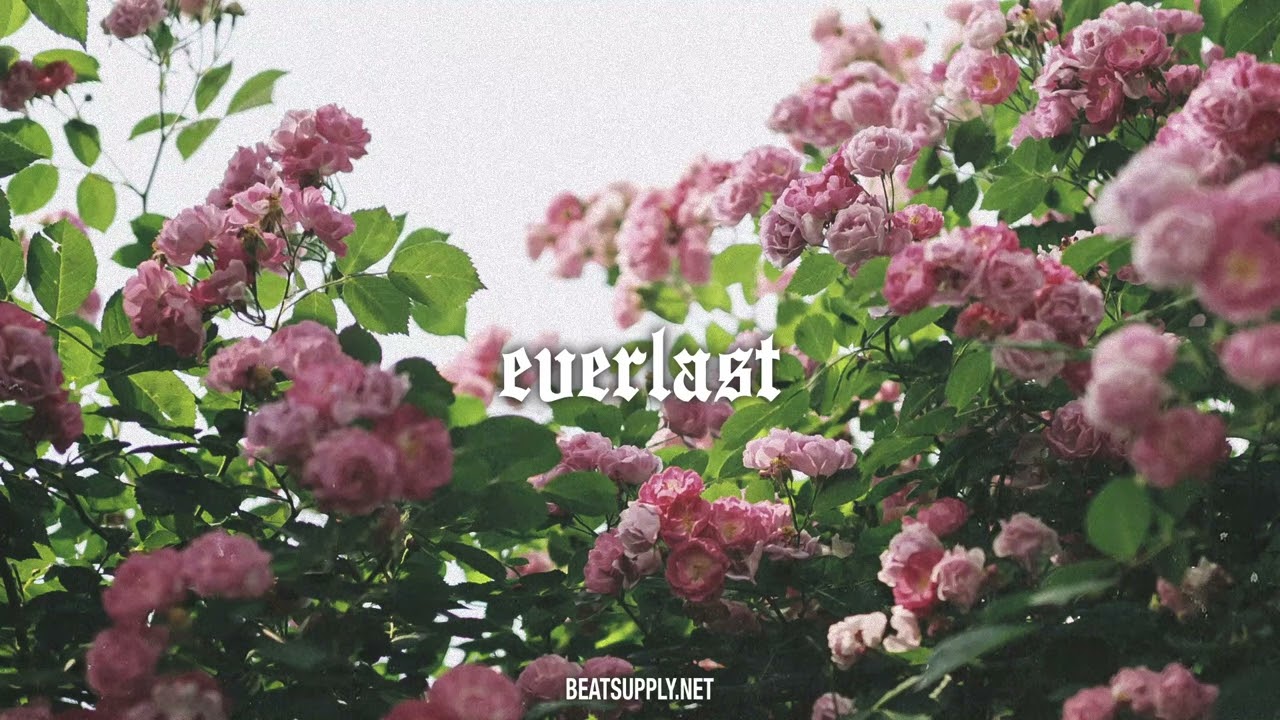 [Free] Chill Soulful Storytelling Type Beat | "Everlast"