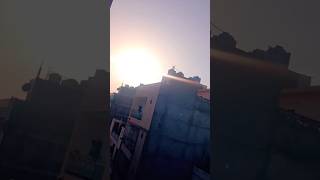 Suraj Is Out Of Control  shorts darakhshankidish