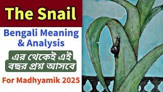 Madhyamik 2025 The Snail Bengali Meaning & Analysis | Class 10 English Syllabus