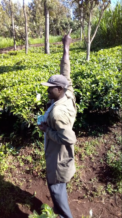 Mzee wa kijiji