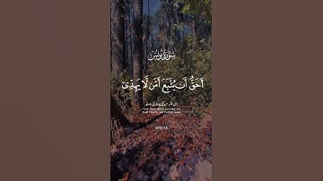سورة يونس #اكسبلور #دويتو #المصحف #الرحمن #لايك