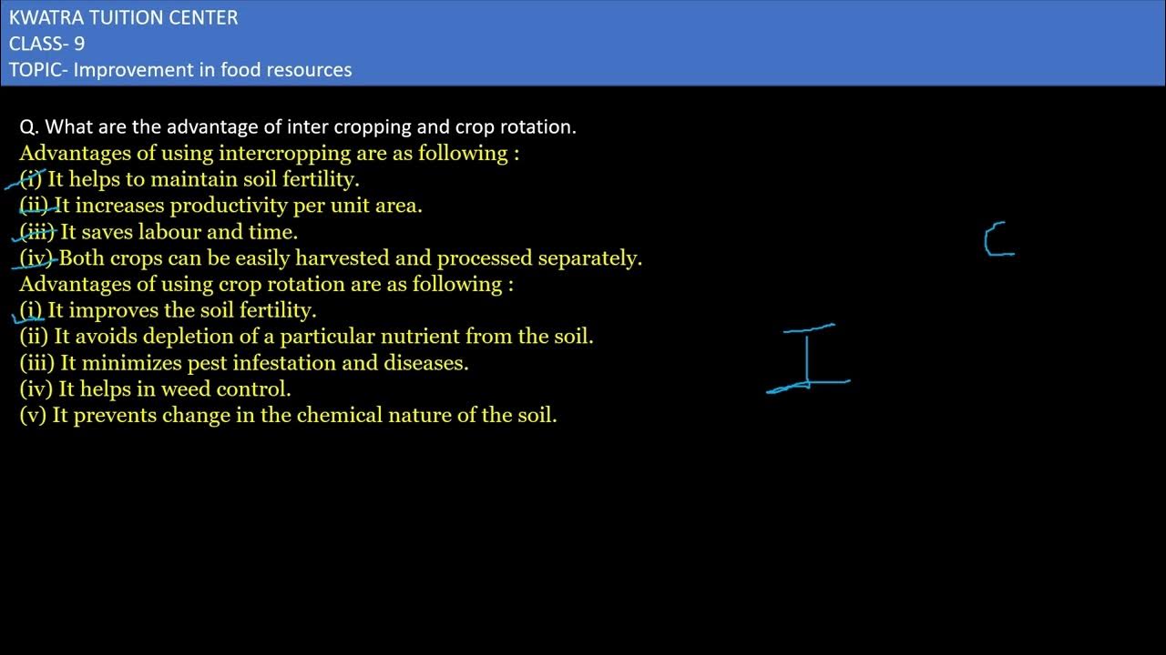 18. What are the advantages of intercropping and crop rotation? YouTube