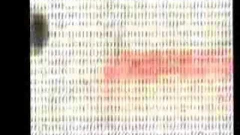 Plarks -  Film Clip By 21Crew.org PREVIEW