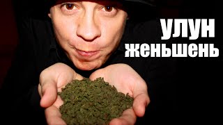 Женьшень Улун | как заваривать Улун Женьшень | какой эффект у чая Улун жень шень | Хати чай