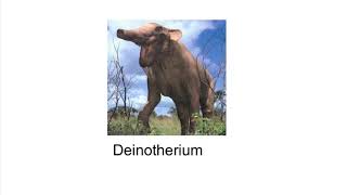 Walking With Beasts Next Of Kin Beasts Featured