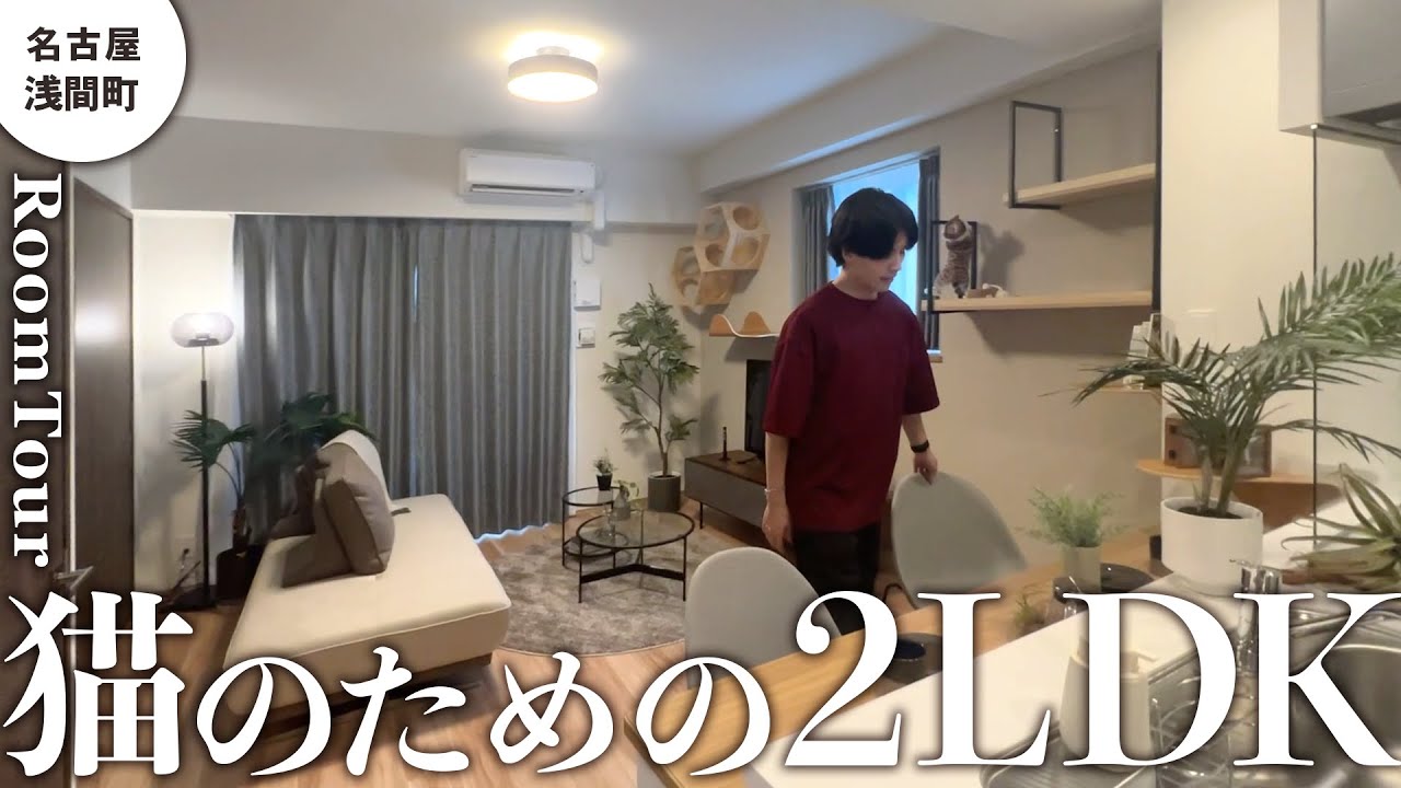 【ルームツアー】猫と暮らせるキャットウォーク付きの新築2LDKが良すぎました... - YouTube