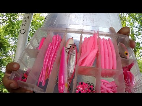 The Pink Challenge: Catching Fish on Pink Lures! (Norristown, PA)