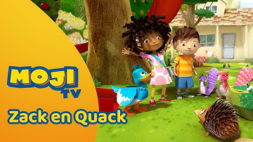 SPRINGENDE HIKKENDE BUIK 😁 | ZACK EN QUACK 🦆 | Nederlandse Kinderseries | MojiTV