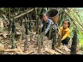 Daily life of mother and child  harvesting bamboo shoots picking up snails to sell