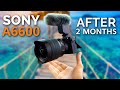 Sony A6600 Review After 2 Months - Worth it in 2020 as Vlogging Camera?