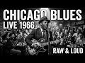 Electric Firestorm Blues Guitar Style Like Legends — Stevie Ray Vaughan, Joe Bonamassa, Eric Clapton