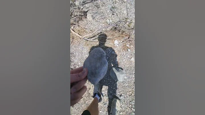 Ringing Rock Discovered In Death Valley By Archeol...