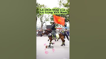 Mãn nhãn với phần trình diễn của các chú công an #respect #congannhandan #canhsatcodong #short