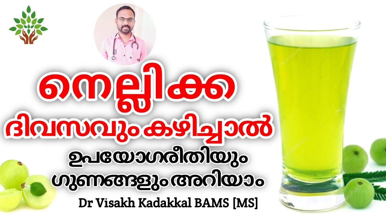 നെല്ലിക്ക ദിവസവും കഴിച്ചാൽ | Nellikka Uses,Benefits| Gooseberry health benefits | Dr Visakh Kadakkal