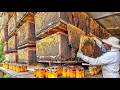 How Biggets Beekeeping Farms Raise Billions of Bees and Process Millions of Tons of Honey
