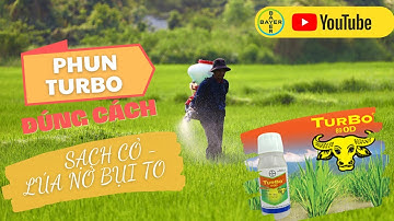 BAYER | PHUN TURBO ĐÚNG CÁCH - SẠCH CỎ VỤ LÚA ĐÔNG XUÂN