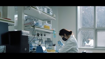 Inside IVI | Take a virtual tour of our vaccine labs