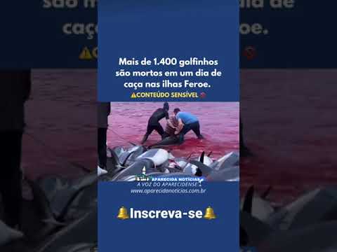 Vídeo: Número De Mortos De Golfinhos Devido Ao Derramamento De óleo Da BP Muito Mais Alto Do Que O Esperado