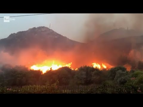 Video: Cosa Sono Gli Incendi Naturali