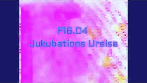 P16.D4 - Jukubations Ureise [official Video]