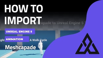 🌟Meshcapade animation into Unreal Engine 5