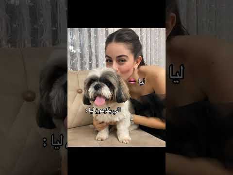 فديتها لي حارقاهوم بدون مجهون ليا تنجح والكلاب تنبح لايك اشتراك