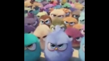 Preview 2 Angry Hatchlings Deepfake
