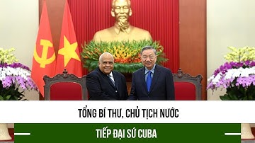 Tổng Bí thư, Chủ tịch nước tiếp Đại sứ Cuba