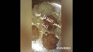 عشاء سريع لآخر يوم قبل السحور نودع الفلافل يلا شيييييرررررر كتييييرررر واعجاب