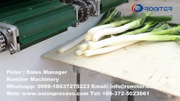Automatic Green Spring Onion Peeling and Root Cutting Machine