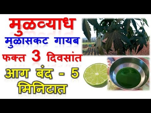 मुळव्याध मुळासकट गायब फक्त 3 दिवसांत, आग बंद फक्त 5 मिनिटांत | मुळव्याध घरगुती उपाय Piles Treatment