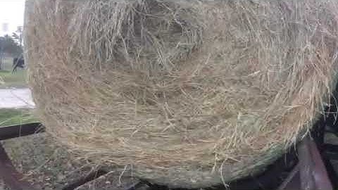 Unloading 12 round bales the easy way