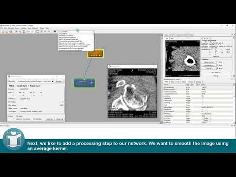 MeVisLab Tutorials - Basic Mechanics