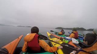 Kayaking. Hanson Island. August 2018.