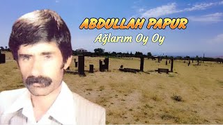 Abdullah Papur - Ağlarım Oy Oy-Acıklı Yürekten Okunan Türkü Resimi