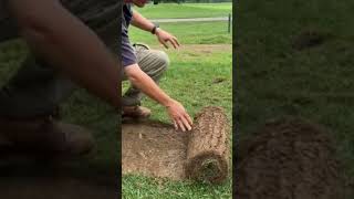 Moving Sod For A New Bunker