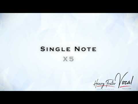 Single Note X5