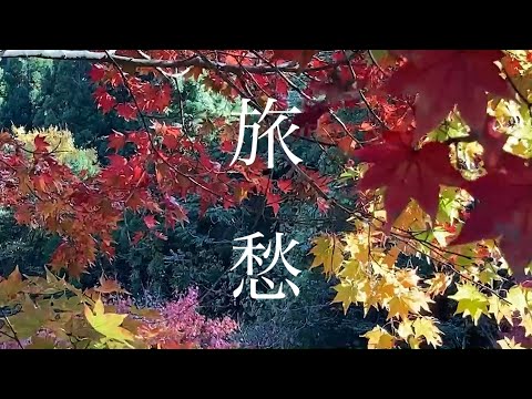 旅愁（唄：れいま しこ）