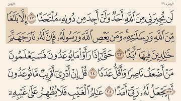 سورة ( الجن ) من " ٢٣-٢٨