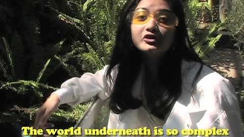 2010 Kavli Science Video Contest --Science Is So Fly