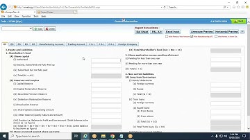 Computax - E return - Balance sheet normal filed