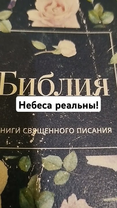 Небеса реальны! - YouTube