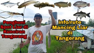 info/rute Mancing liar gratis di Kunciran Tangerang Banyak ikan Monsternya